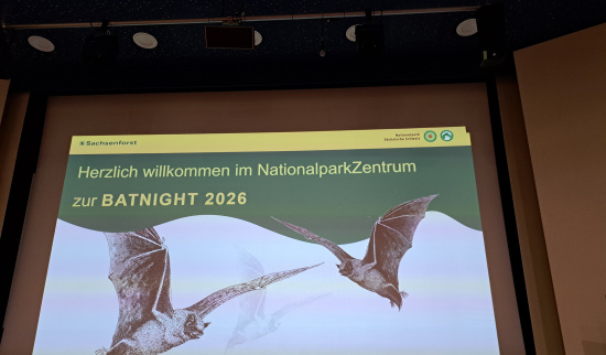 Foto: Sandy Wolfframm