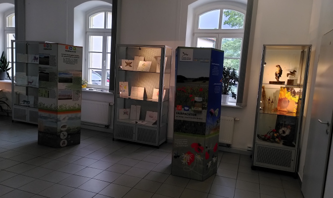 – Foto: Iris Gutmann