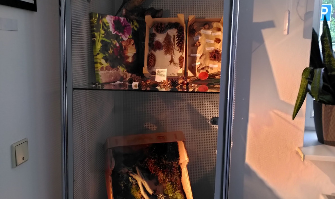 – Foto: Iris Gutmann