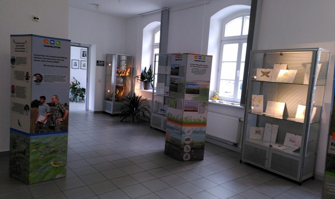 – Foto: Iris Gutmann