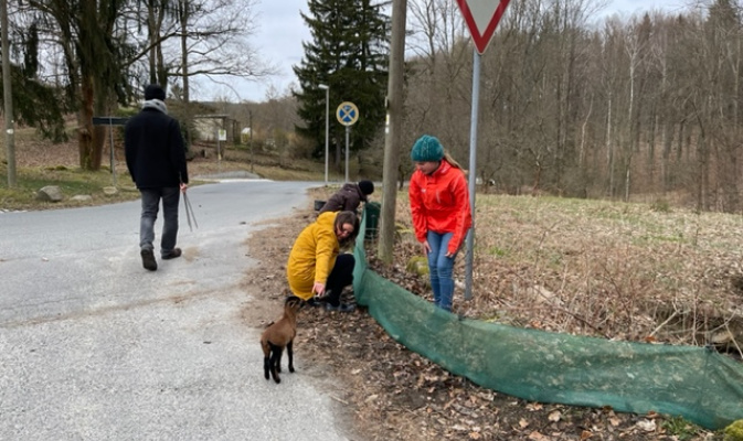 Es gab sogar auch Zaungäste – Foto: Doreen Biedermann