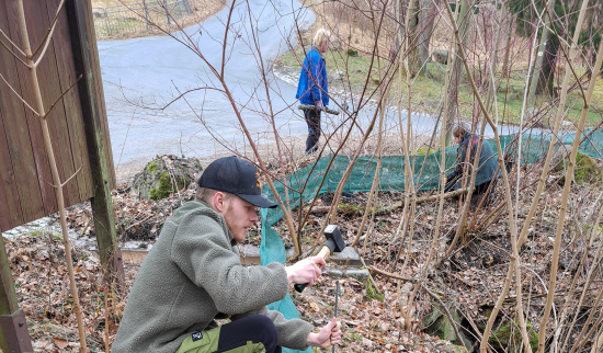 Die Stäbe zur Halterung des Zaunes werden in die Erde gesteckt Foto: Sandy Wolfframm