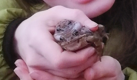 Foto: Katrin Schulze