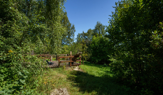 Streuobstwiese Foto: Robin Wolfframm