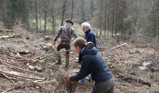 Foto: Theres Schimansky