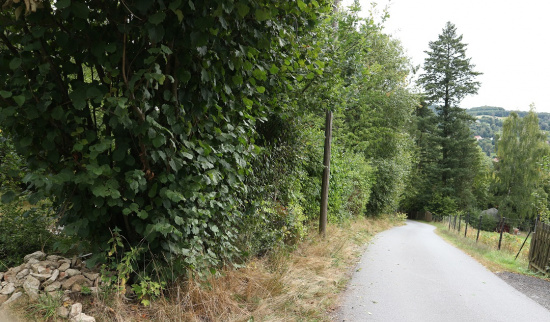 Foto: Theres Schimansky