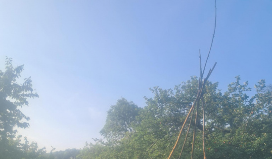 Foto: Kathrin Schulze