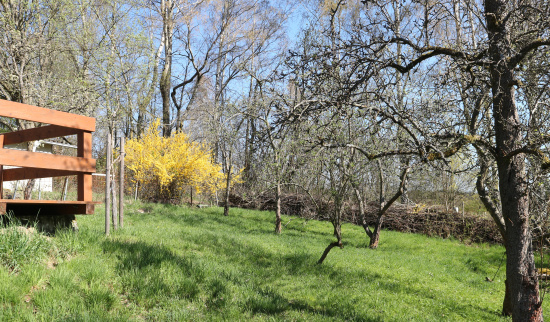 Foto: Theres Schimansky