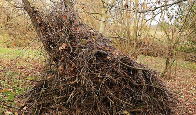 Nun ist aus dem Haufen für die Tiere selbst ein Tier geworden - welches bleibt unserer Fantasie überlassen (Herbst 2019). – Foto: Theres Schimansky