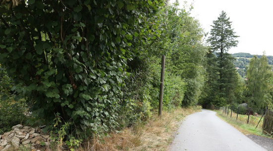 Foto: Theres Schimansky