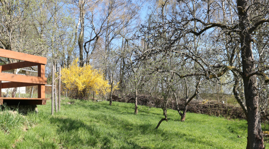 Foto: Theres Schimansky